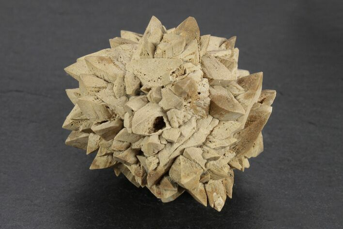 Stellate Glendonite (Calcite Pseudomorph) Cluster - Russia #247211